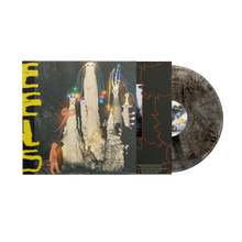 Load image into Gallery viewer, Being Dead - 'EELS'