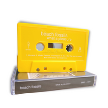 Load image into Gallery viewer, Beach Fossils 'What a Pleasure'