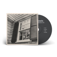 Load image into Gallery viewer, Beach Fossils 'What a Pleasure'