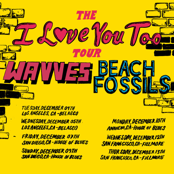 Beach Fossils + WAVVES - West Coast Tour 2018